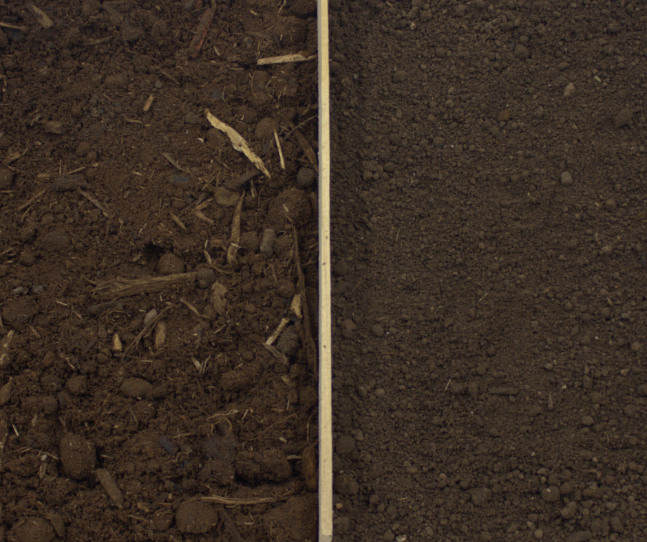 Lowes soil (left) and Minick soil (Right)